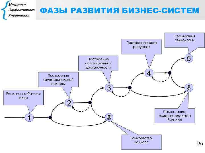 ФАЗЫ РАЗВИТИЯ БИЗНЕС-СИСТЕМ 25 