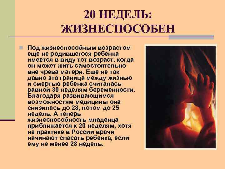 20 НЕДЕЛЬ: ЖИЗНЕСПОСОБЕН n Под жизнеспособным возрастом еще не родившегося ребенка имеется в виду