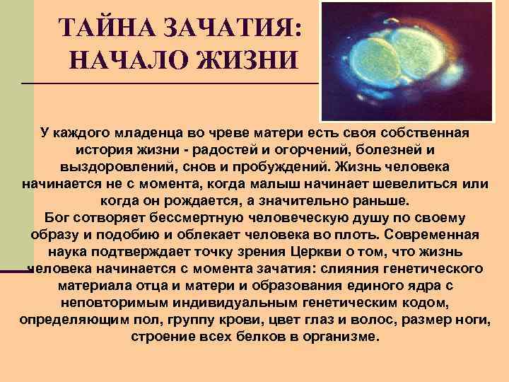 ТАЙНА ЗАЧАТИЯ: НАЧАЛО ЖИЗНИ У каждого младенца во чреве матери есть своя собственная история