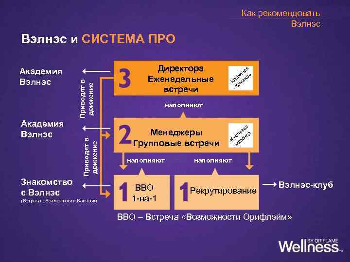 Как рекомендовать Вэлнэс Академия Вэлнэс Приводят в движение Вэлнэс и СИСТЕМА ПРО Знакомство с