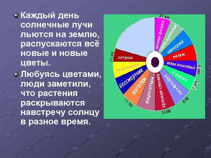 Каждый день солнечные лучи льются на землю, распускаются всё новые и новые цветы. Любуясь