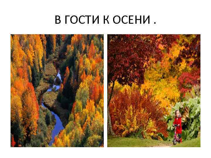 В ГОСТИ К ОСЕНИ. 