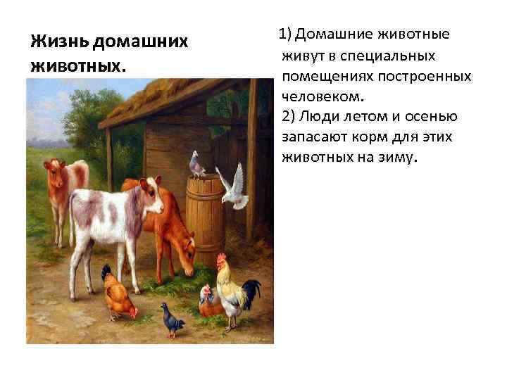 Жизнь домашних животных. 1) Домашние животные живут в специальных помещениях построенных человеком. 2) Люди