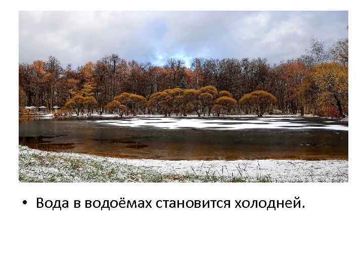  • Вода в водоёмах становится холодней. 
