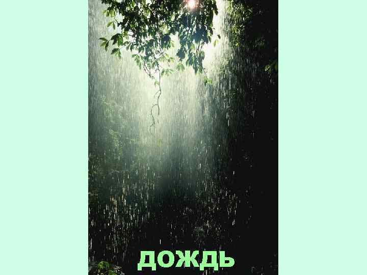 ДОЖДЬ 