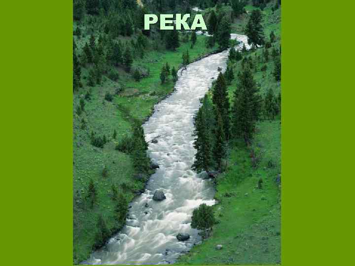 РЕКА 