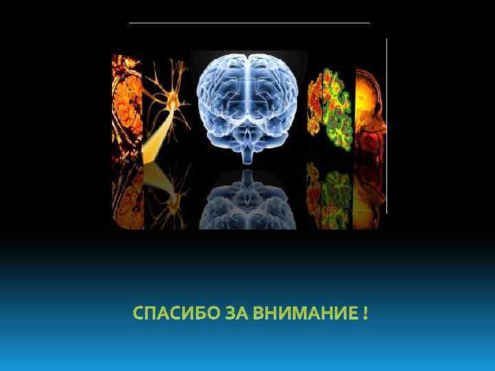 СПАСИБО ЗА ВНИМАНИЕ ! 