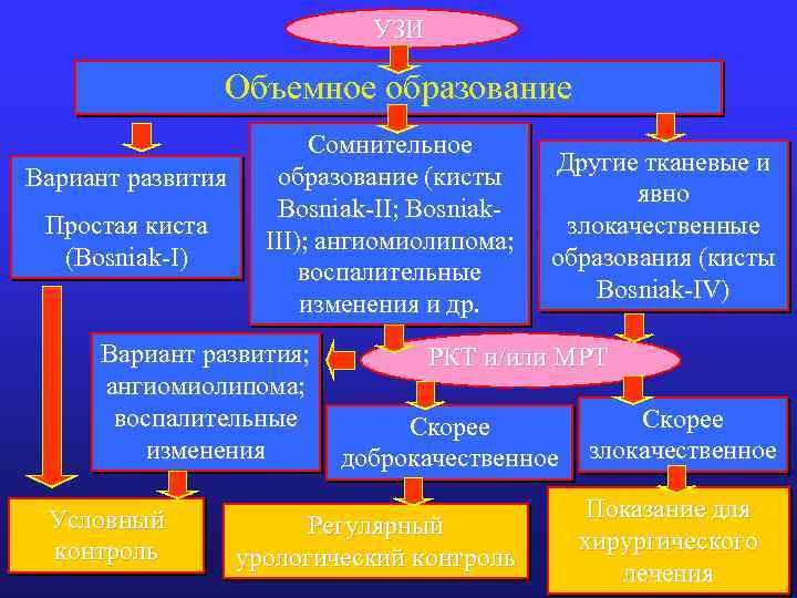 УЗИ Объемное образование Вариант развития Простая киста (Bosniak-I) Сомнительное образование (кисты Bosniak-II; Bosniak. III);