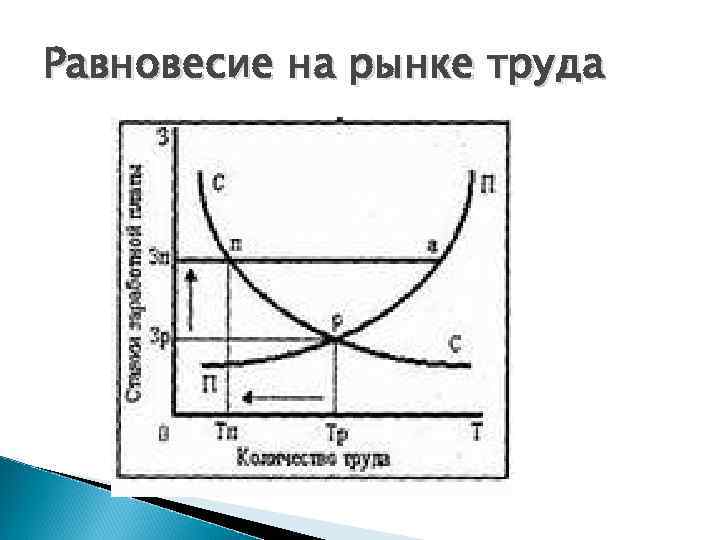 Равновесие на рынке труда 