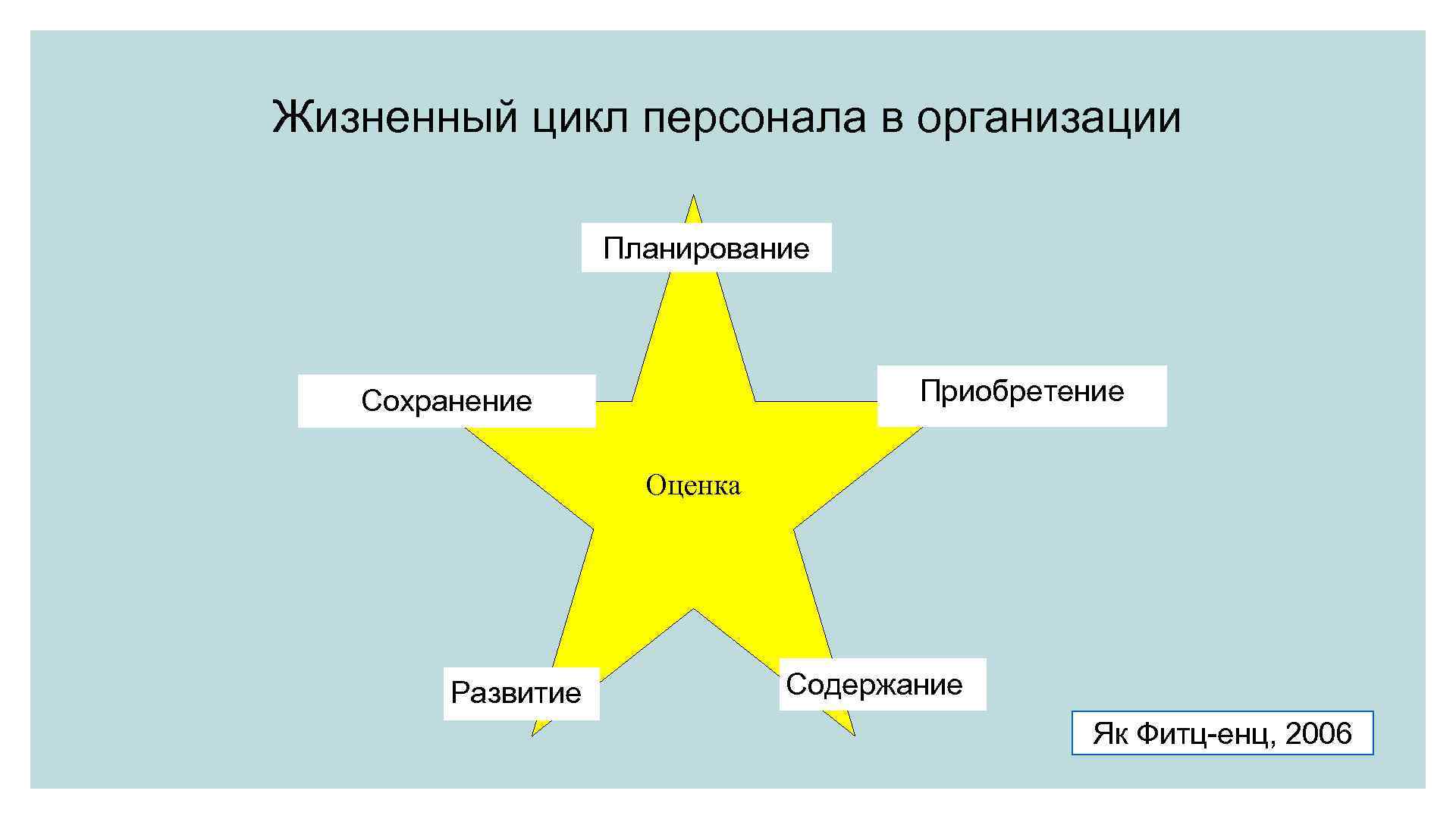 Жизненный организации