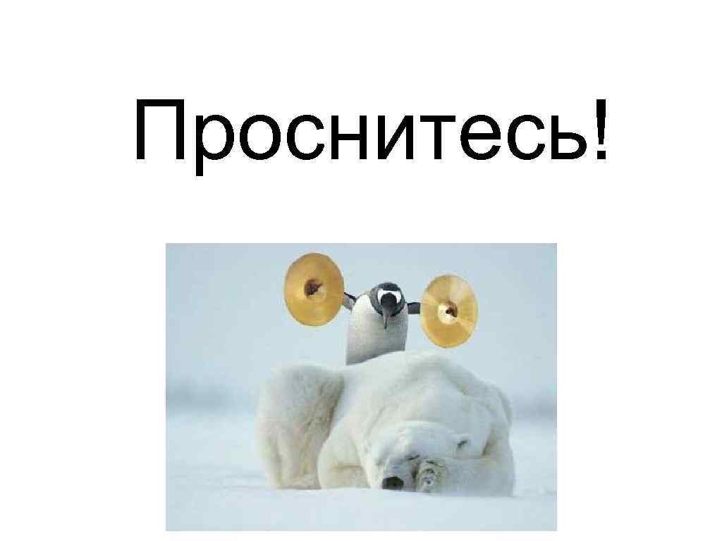 Проснитесь! 