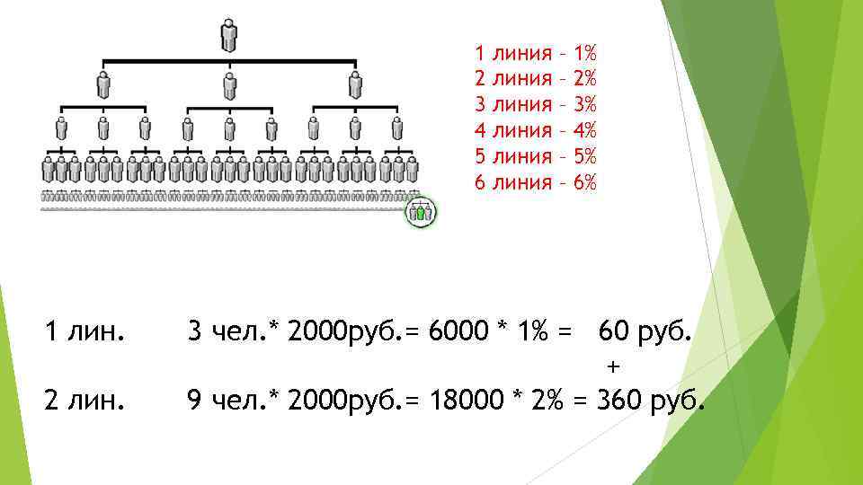 1 2 3 4 5 6 1 лин. 2 линия линия – – –