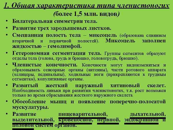1. Общая характеристика типа членистоногих (более 1, 5 млн. видов) • Билатеральная симметрия тела.
