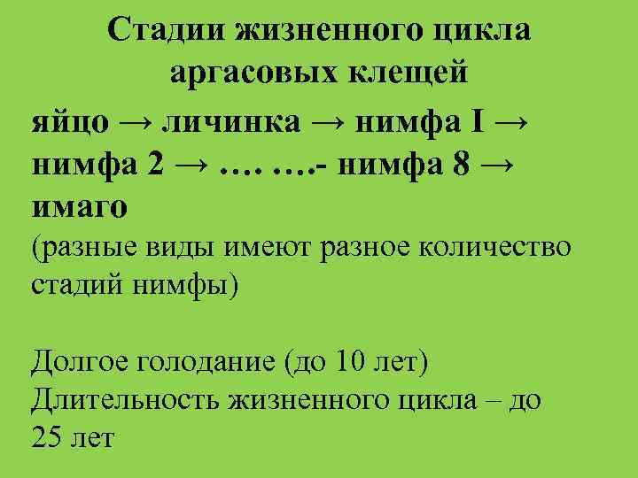 Стадии жизненного цикла аргасовых клещей яйцо → личинка → нимфа I → нимфа 2