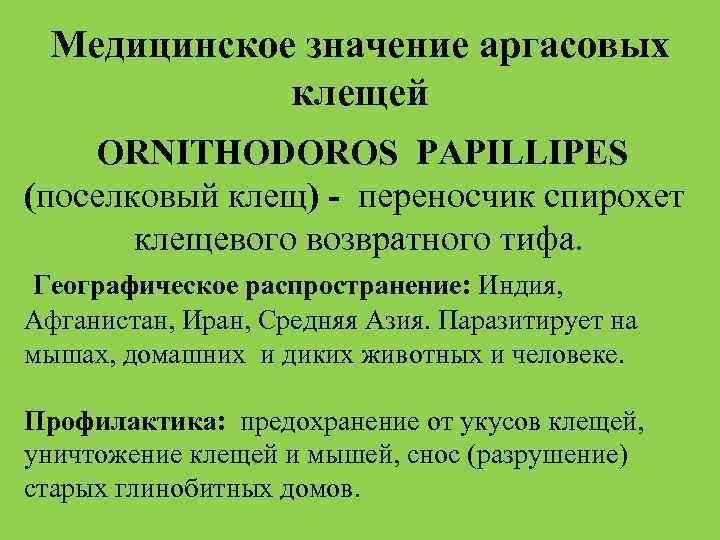 Медицинское значение аргасовых клещей ORNITHODORОS PAPILLIPES (поселковый клещ) - переносчик спирохет клещевого возвратного тифа.