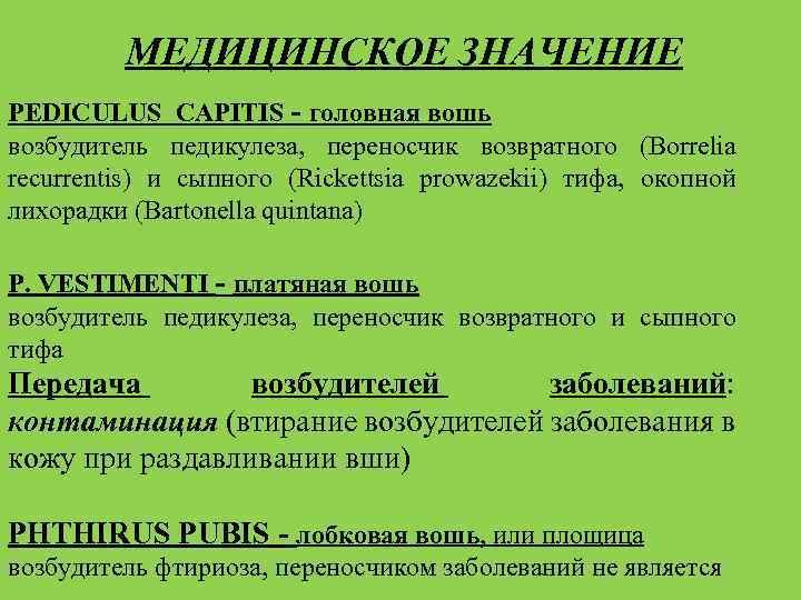 МЕДИЦИНСКОЕ ЗНАЧЕНИЕ PEDICULUS CAPITIS ‑ головная вошь возбудитель педикулеза, переносчик возвратного (Borrelia recurrentis) и