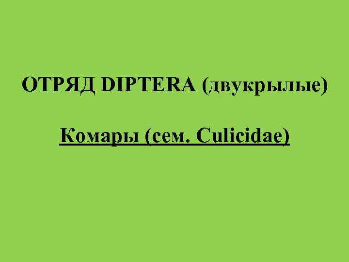 ОТРЯД DIPTERA (двукрылые) Комары (сем. Culicidae) 