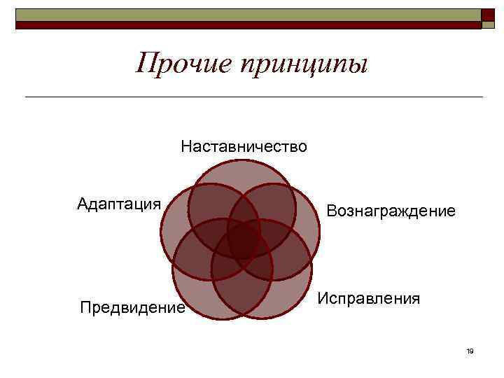 Прочие принципы Наставничество Адаптация Предвидение Вознаграждение Исправления 19 