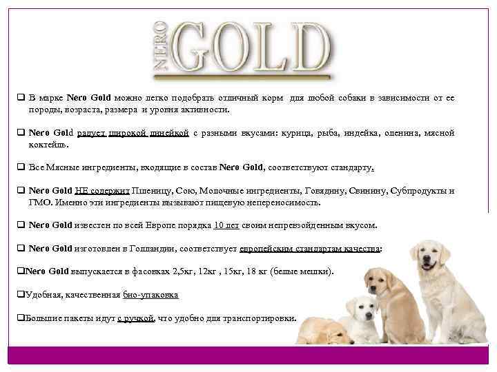 q В марке Nero Gold можно легко подобрать отличный корм для любой собаки в