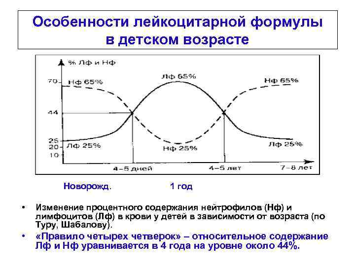 Схема физиологического перекреста лейкоцитарной формулы у детей