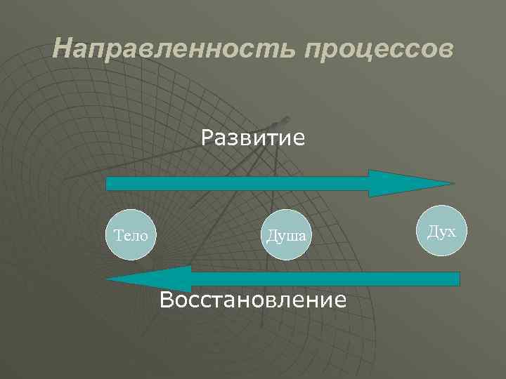 Направленность процессов Развитие Тело Душа Восстановление Дух 