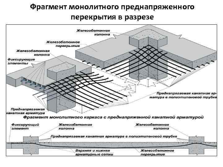 Фрагмент монолитного преднапряженного перекрытия в разрезе 