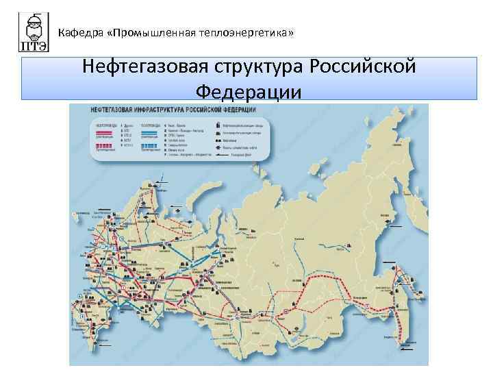 Кафедра «Промышленная теплоэнергетика» Нефтегазовая структура Российской Федерации 