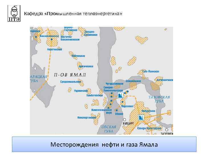 Кафедра «Промышленная теплоэнергетика» Месторождения нефти и газа Ямала 