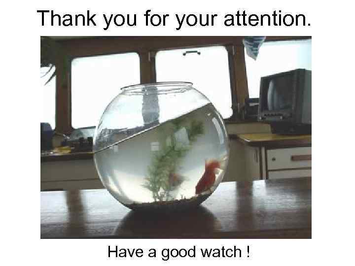 Thank you for your attention. Have a good watch ! 