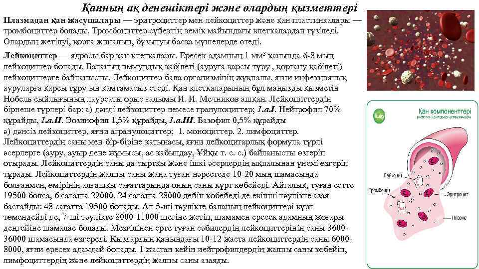 Қанның ақ денешіктері және олардың қызметтері Плазмадан қан жасушалары — эритроциттер мен лейкоциттер және