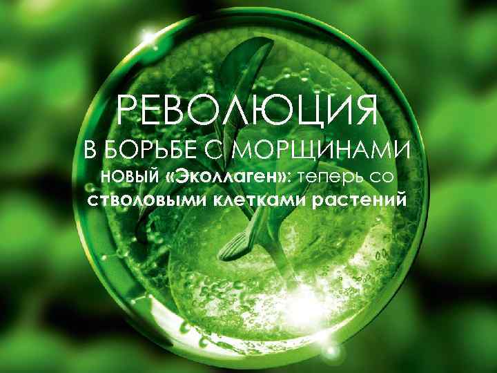 РЕВОЛЮЦИЯ В БОРЬБЕ С МОРЩИНАМИ НОВЫЙ «Эколлаген» : теперь со стволовыми клетками растений 