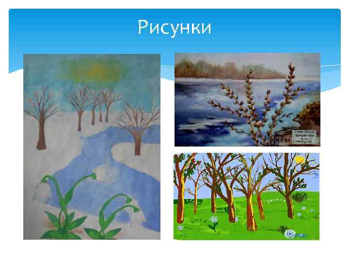 Рисунки 