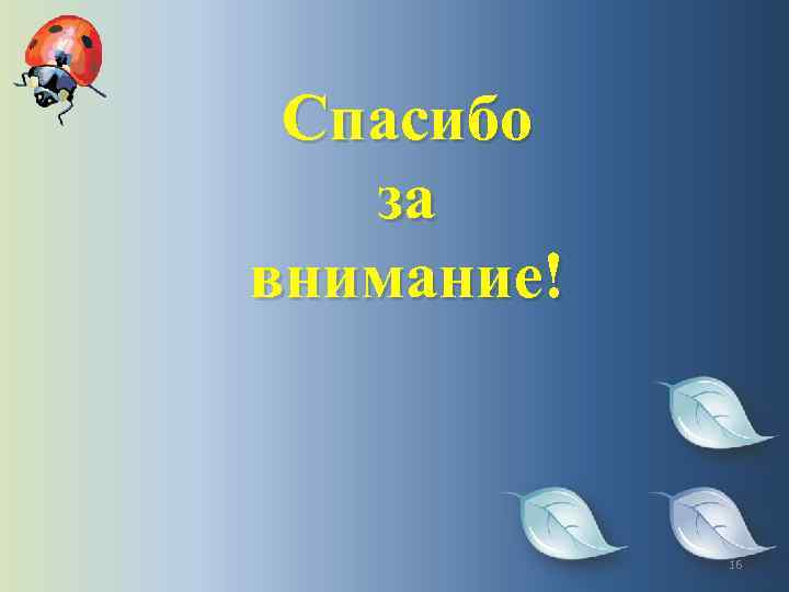 Спасибо за внимание! 16 