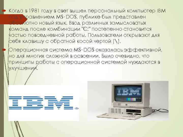  Когда в 1981 году в свет вышел персональный компьютер IBM под управлением MS‑DOS,