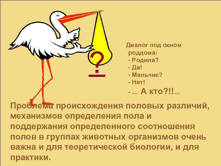 ? Диалог под окном роддома: - Родила? - Да! - Мальчик? - Нет! -