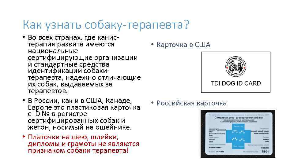 Как узнать собаку-терапевта? • Во всех странах, где канистерапия развита имеются национальные сертифицирующие организации