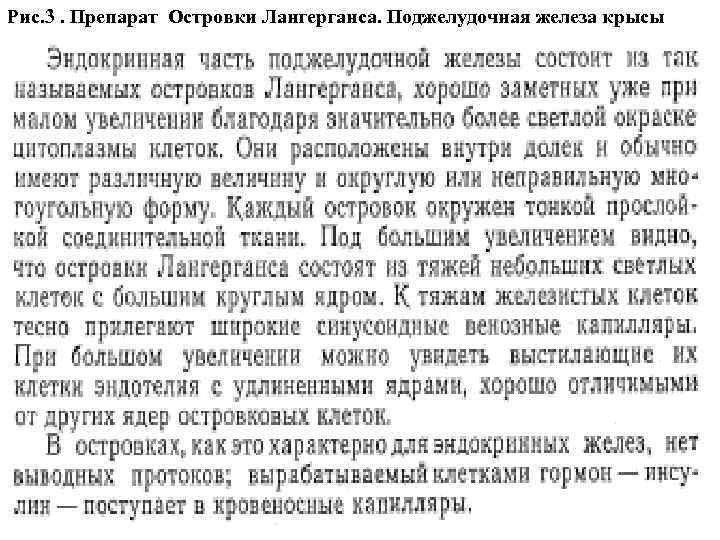 Рис. 3. Препарат Островки Лангерганса. Поджелудочная железа крысы 