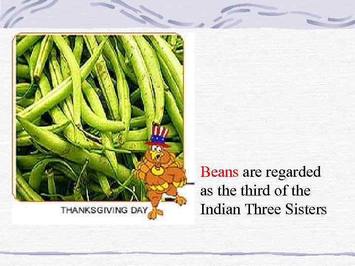  • Beans are regarded as the third of the Indian Three Sisters 