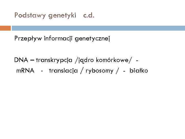Podstawy genetyki c. d. Przepływ informacji genetycznej DNA – transkrypcja /jądro komórkowe/ m. RNA