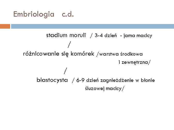 Embriologia c. d. stadium moruli / 3 -4 dzień - jama macicy / różnicowanie
