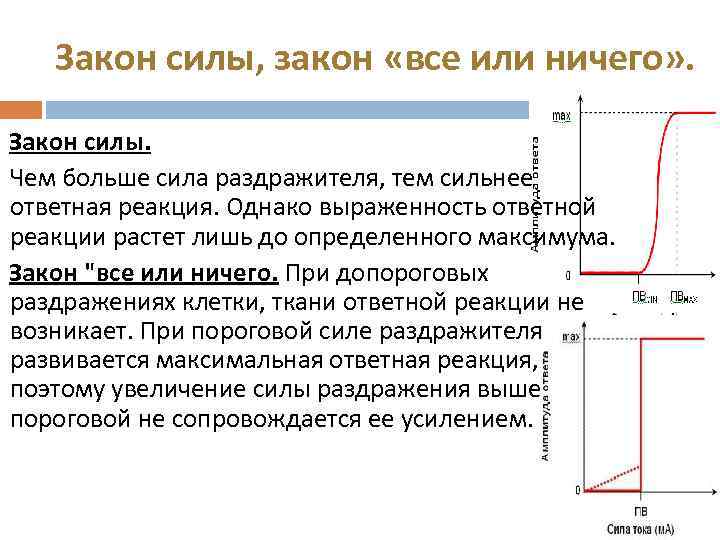 Закон силы времени