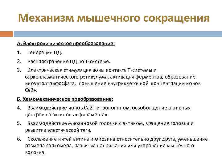 Механизм мышечного сокращения А. Электрохимическое преобразование: 1. Генерация ПД. 2. Распространение ПД по Т-системе.