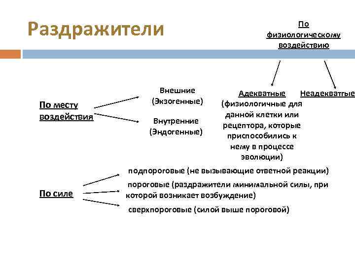 Раздражители По месту воздействия Внешние (Экзогенные) Внутренние (Эндогенные) По физиологическому воздействию Адекватные Неадекватгые (физиологичные