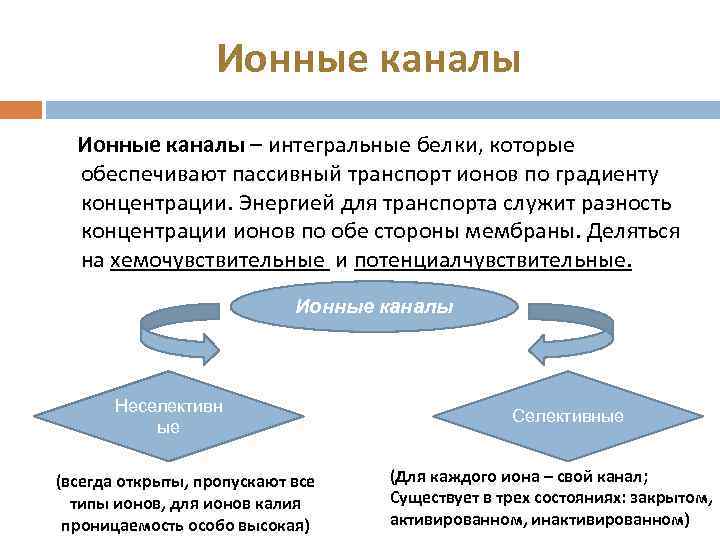 Ионные каналы – интегральные белки, которые обеспечивают пассивный транспорт ионов по градиенту концентрации. Энергией