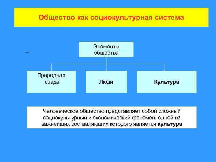 Флешмоб как социокультурный феномен в современном обществе презентация