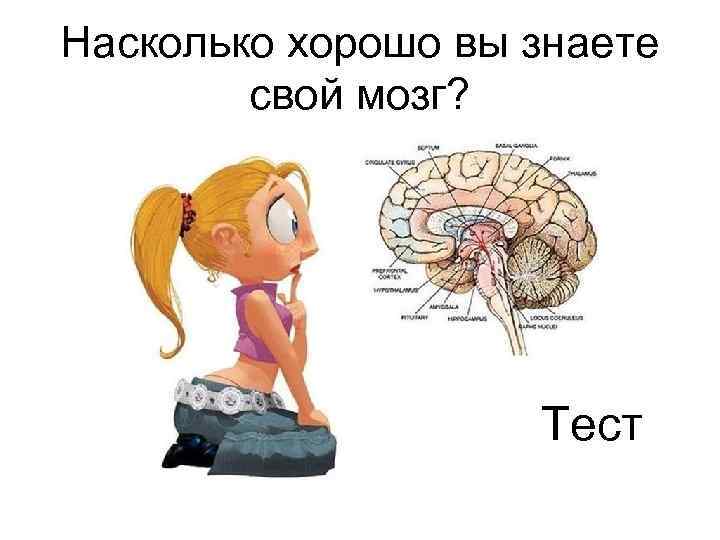 Мозг биология огэ. Тест на мозг. Тест мозга по картинкам. Рисунки тесты для мозга. Тест на работу мозга.