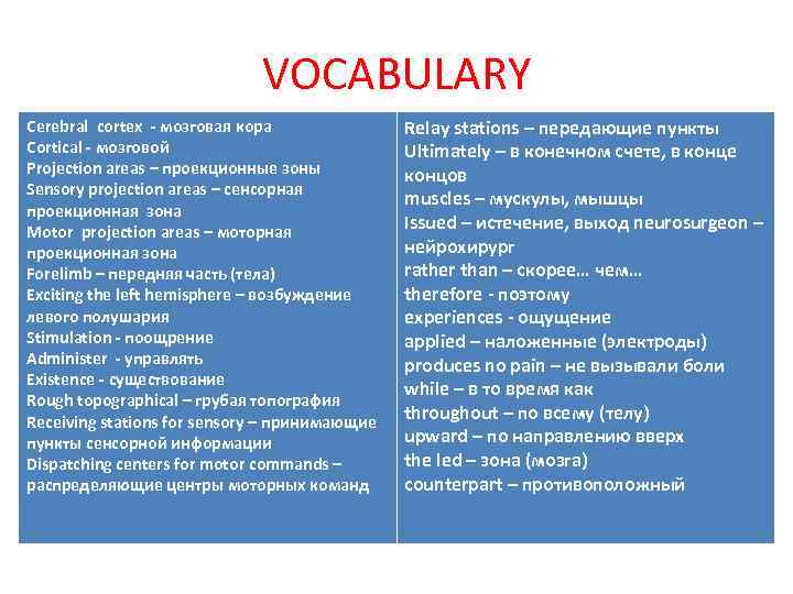 VOCABULARY Cerebral cortex - мозговая кора Cortical - мозговой Projection areas – проекционные зоны