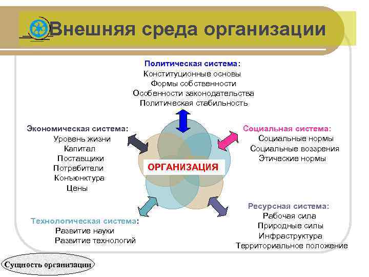 Внешняя среда организации Политическая система: Конституционные основы Формы собственности Особенности законодательства Политическая стабильность Экономическая
