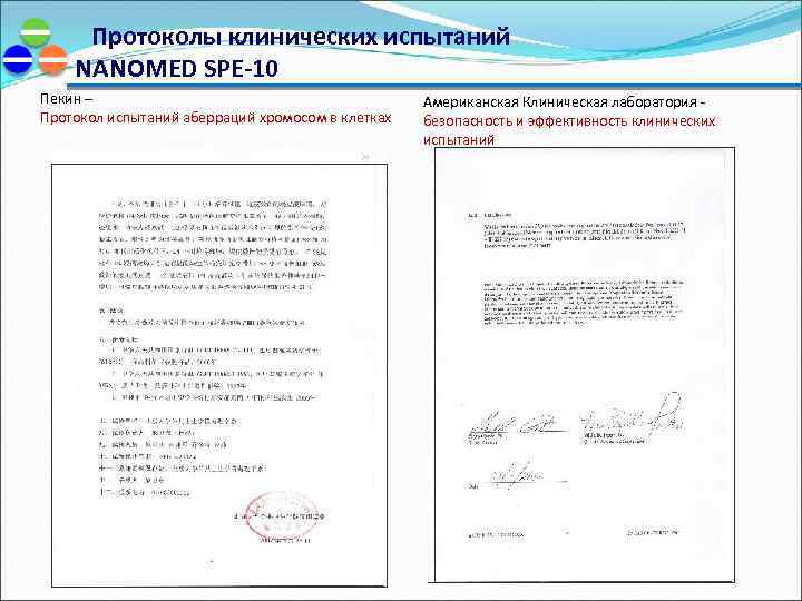 Протоколы клинических испытаний NANOMED SPE-10 Пекин – Протокол испытаний аберраций хромосом в клетках Американская