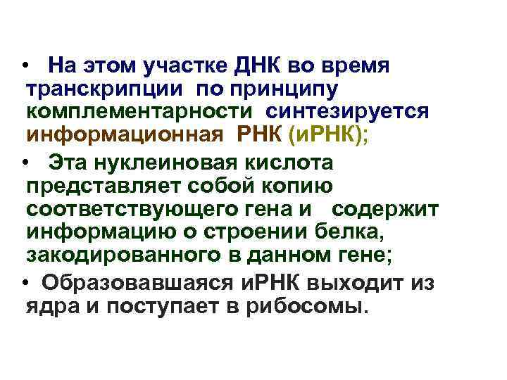  • На этом участке ДНК во время транскрипции по принципу комплементарности синтезируется информационная